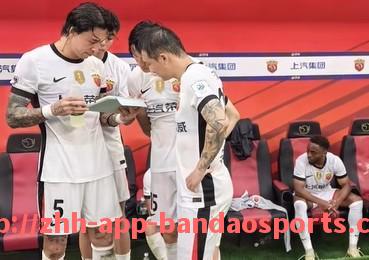 半岛体育app-意甲与德甲球队交锋数据及双方实力对比分析