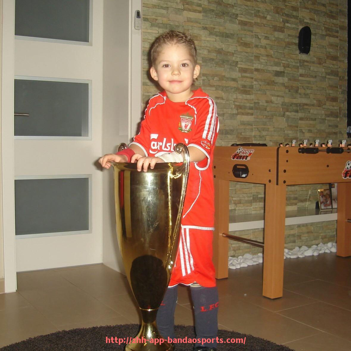 半岛体育app-英超球队在英国各地区的分布及俱乐部实力对比