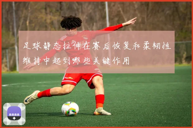 足球静态拉伸在赛后恢复和柔韧性维持中起到哪些关键作用