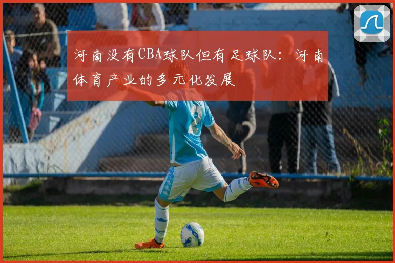 河南没有CBA球队但有足球队：河南体育产业的多元化发展