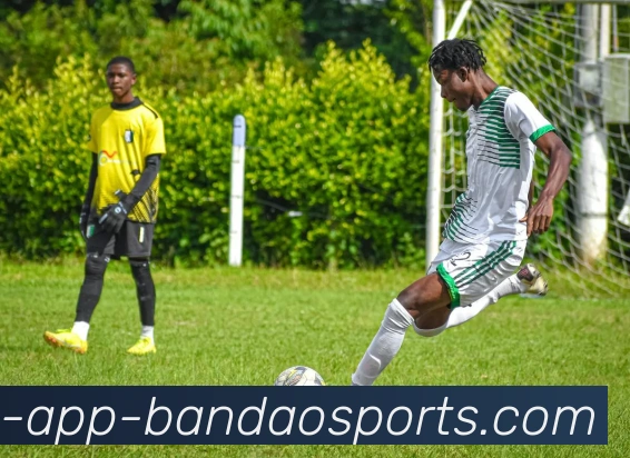 半岛体育APP 体育赛事宣传图